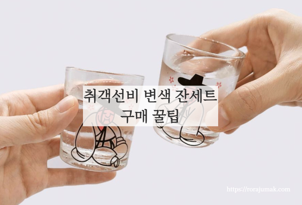 취객선비내돈내산구매꿀팁2