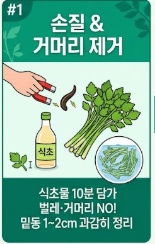 미나리 요리