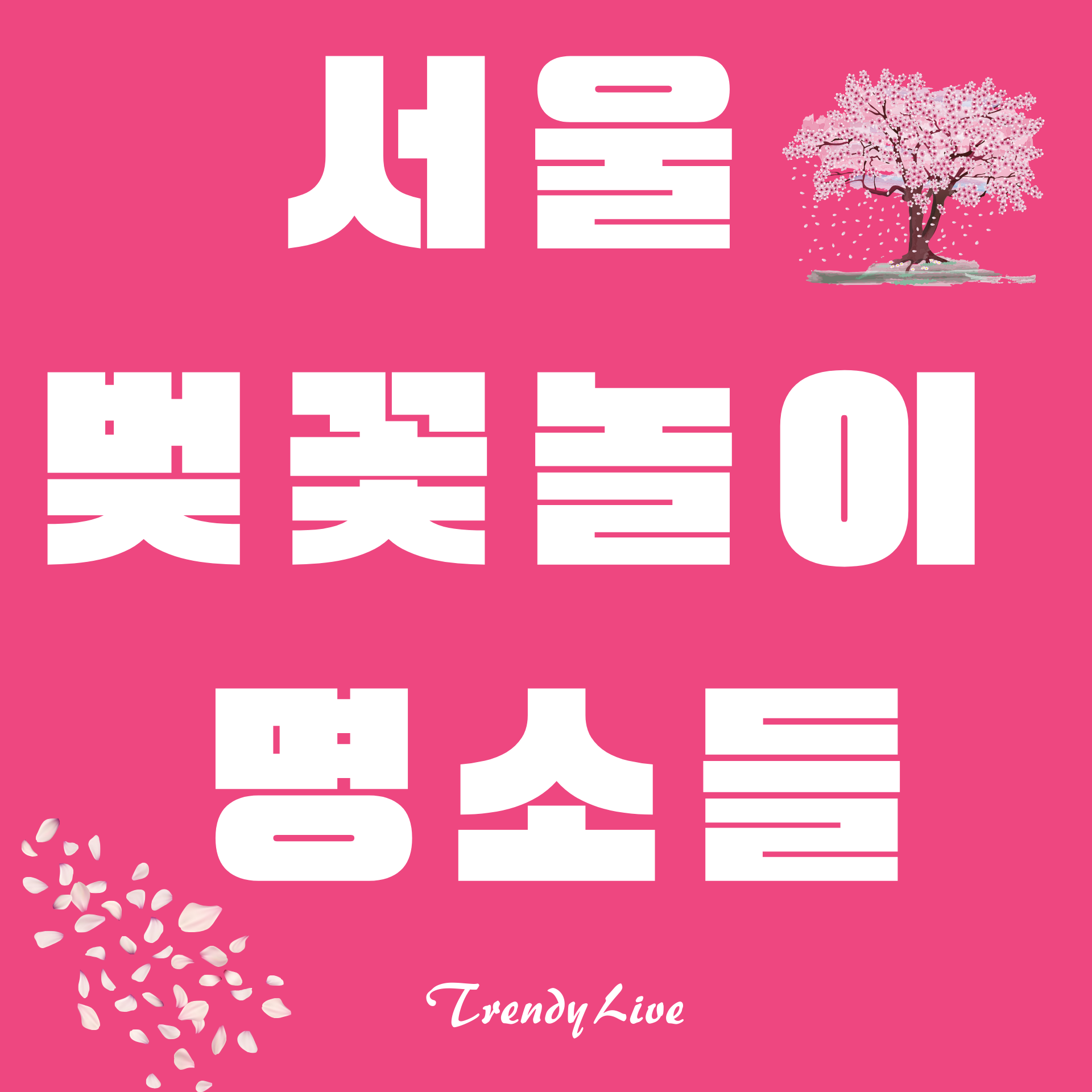 서울 벚꽃놀이 명소들: 여의도 벚꽃축제, 석촌호수 벚꽃축제, 양재천 벚꽃등축제, 남산의 벚꽃, 서울숲의 벚꽃