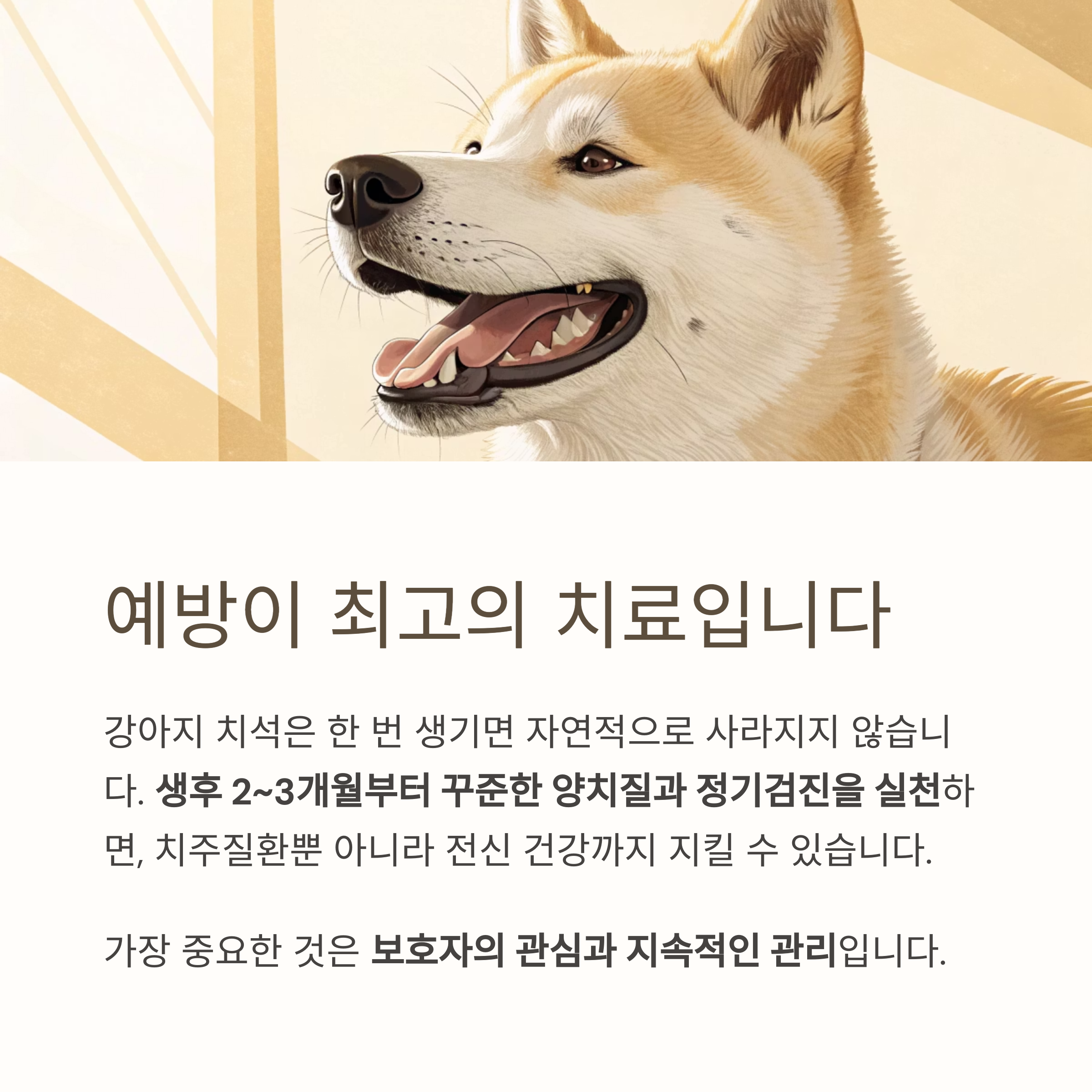 예방이 최고의 치료입니다