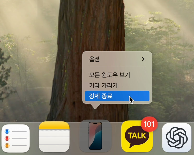 Mac 앱 강제 종료하는 방법