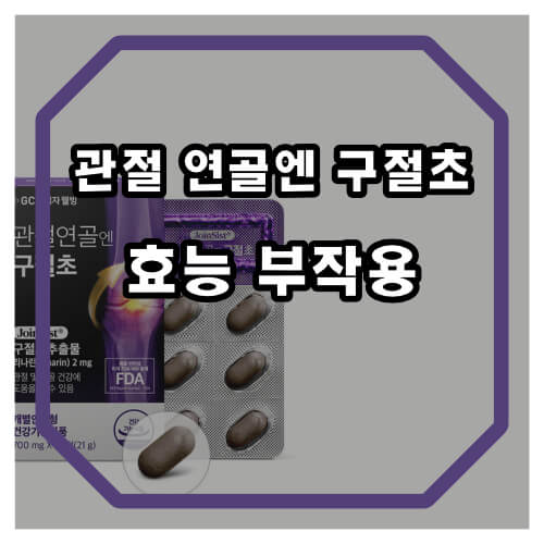 관절 연골엔 구절초 효능 리나린 관절염 개선 효과