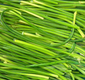 마늘쫑 효능 부작용 고르는법 칼로리