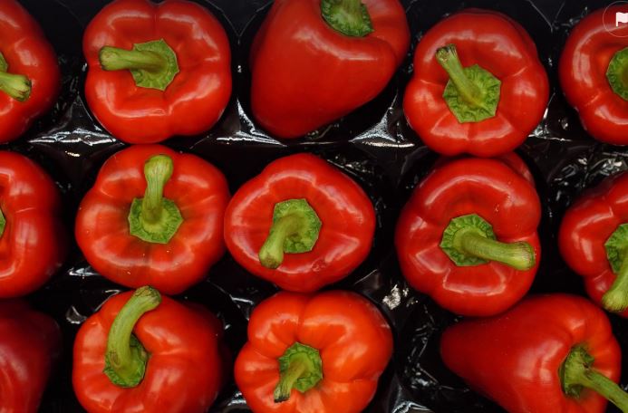 코스트코8월넷째주할인_경제