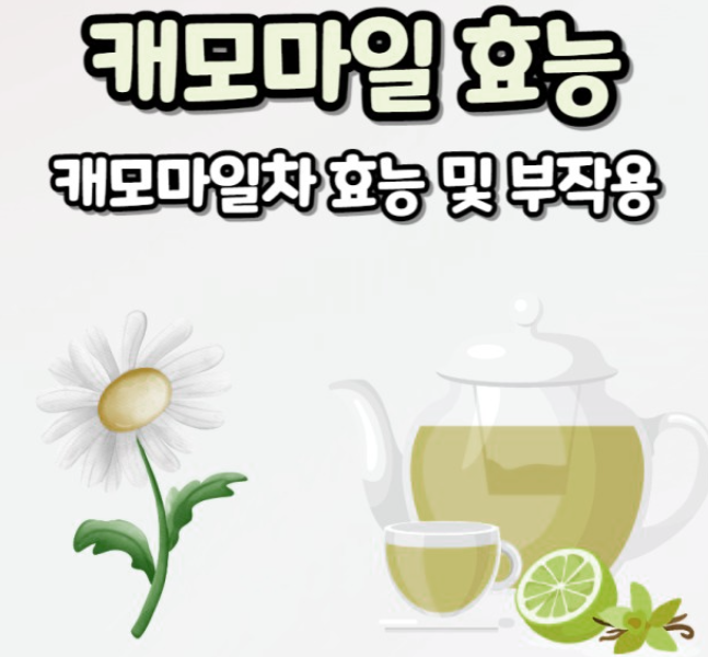 커모마일 차의 효능