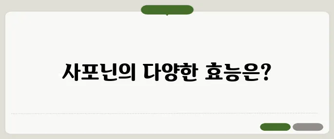 사포닌 효능 확인해보기 피로회복과 혈액순환에 탁월