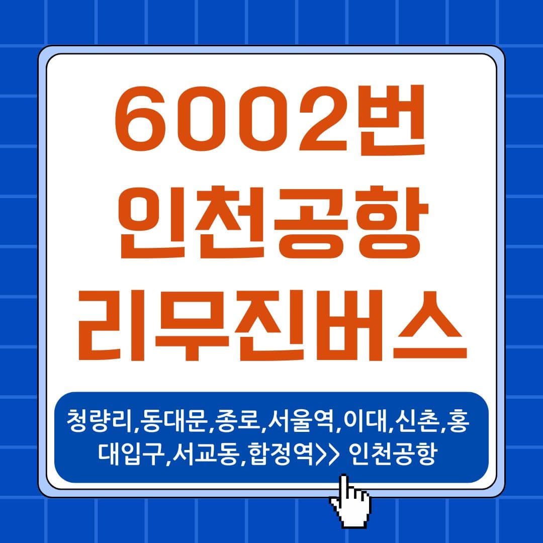 6002번 공항버스