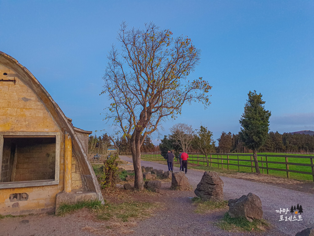 제주 성이시돌 목장 산책