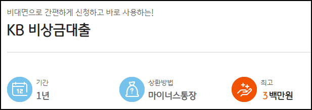 국민은행 비상금대출