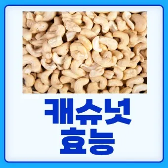 캐슈넛 효능 부작용 섭취량_25