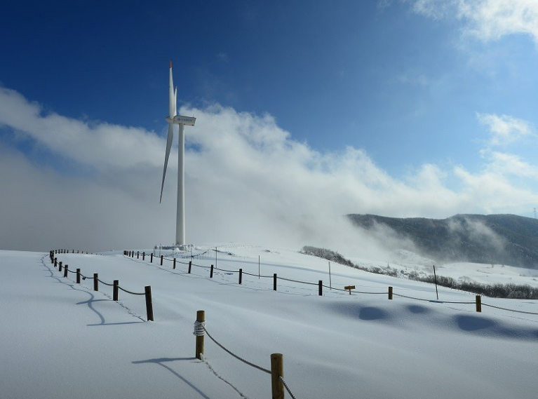 대관령 하늘목장