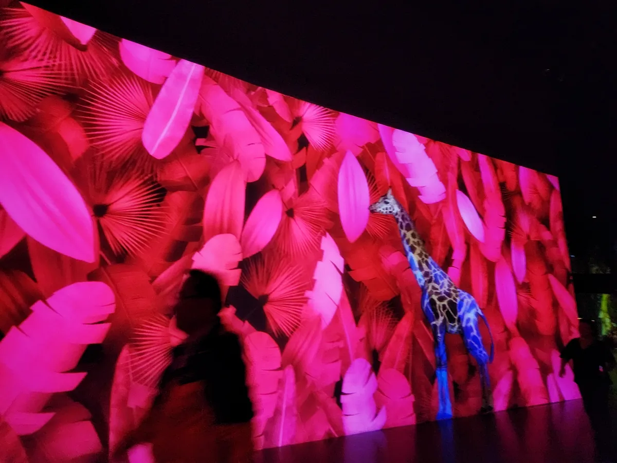 강릉-아르떼뮤지엄-기린-배경