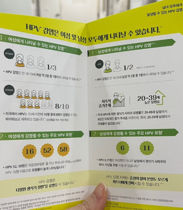 HPV 여성 및 남성 감염 유형