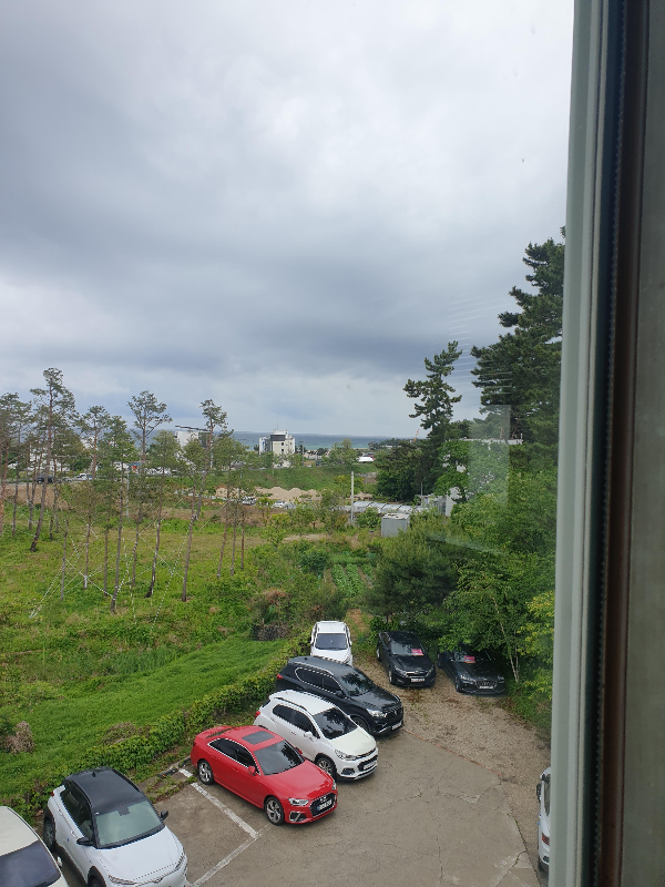 보헤미안 박이추 커피 본점: 강릉 로스터리 카페에서 즐기는 스페셜티 커피_주차장