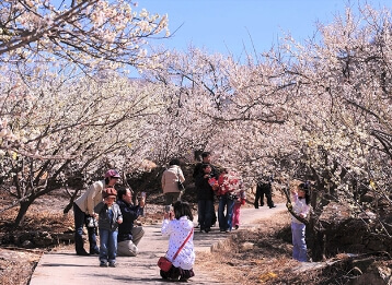 3월 국내 여행지 추천