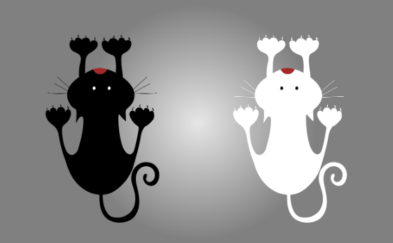 "관측하기 전까지는 두 가지 상태가 동시에 존재하는 양자역학의 기묘한 세계, 중첩."