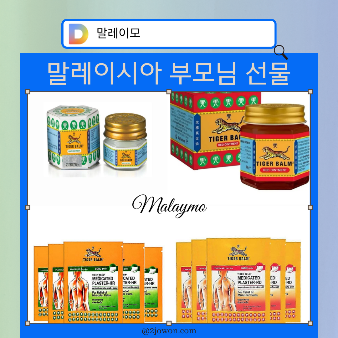 말레이시아 귀국선물