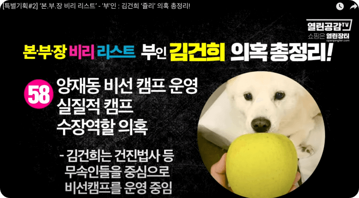 김건희 윤석열 최은순 장모 가족관련 의혹 리스트