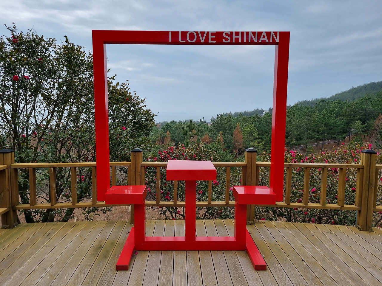 섬 겨울꽃 축제 3