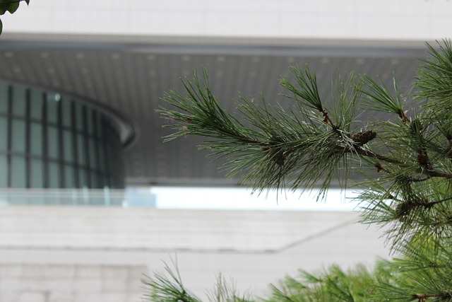 국립중앙 박물관 영광스러운 고려왕조