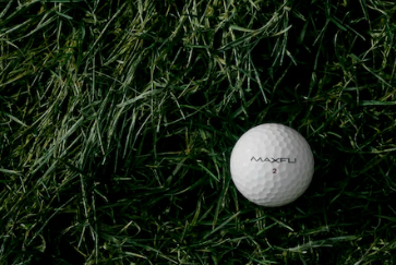 스크린 골프장 창업에 대하여 알아보기