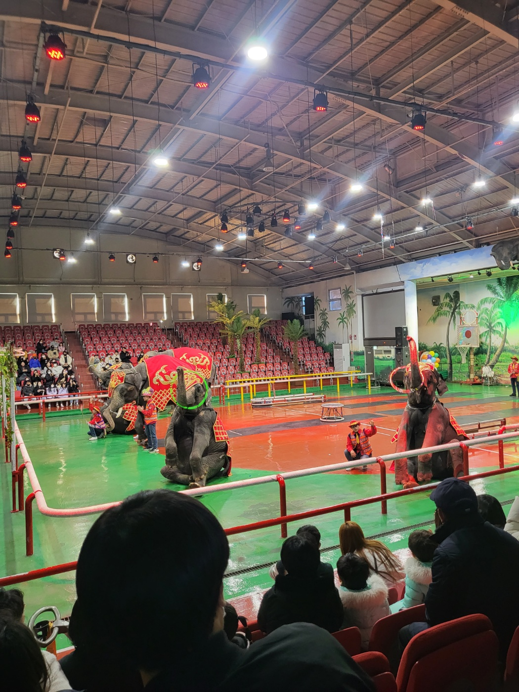 제주도 아이와가볼만한곳, 점보빌리지