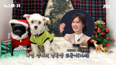 jtbc 뉴스룸 안나경 아나운서