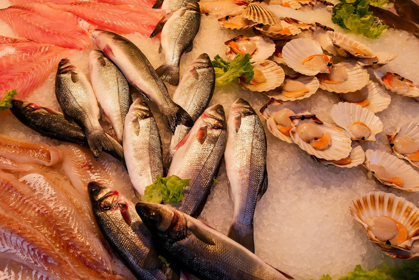 싱싱한 해산물 사진