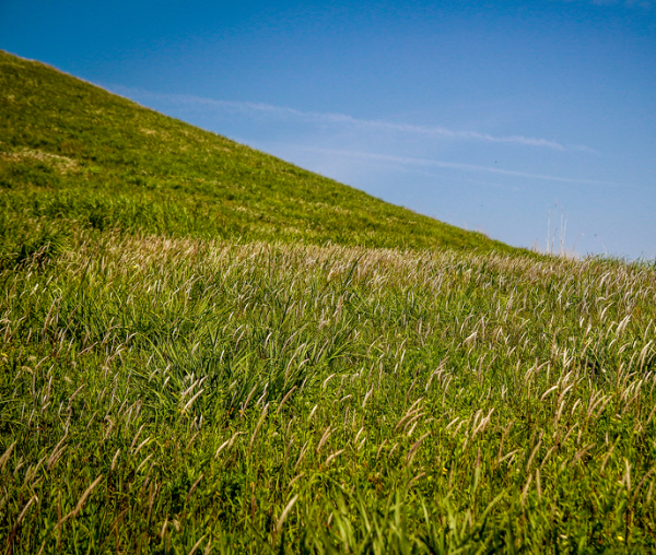 봄에 떠나기 좋은 여행지