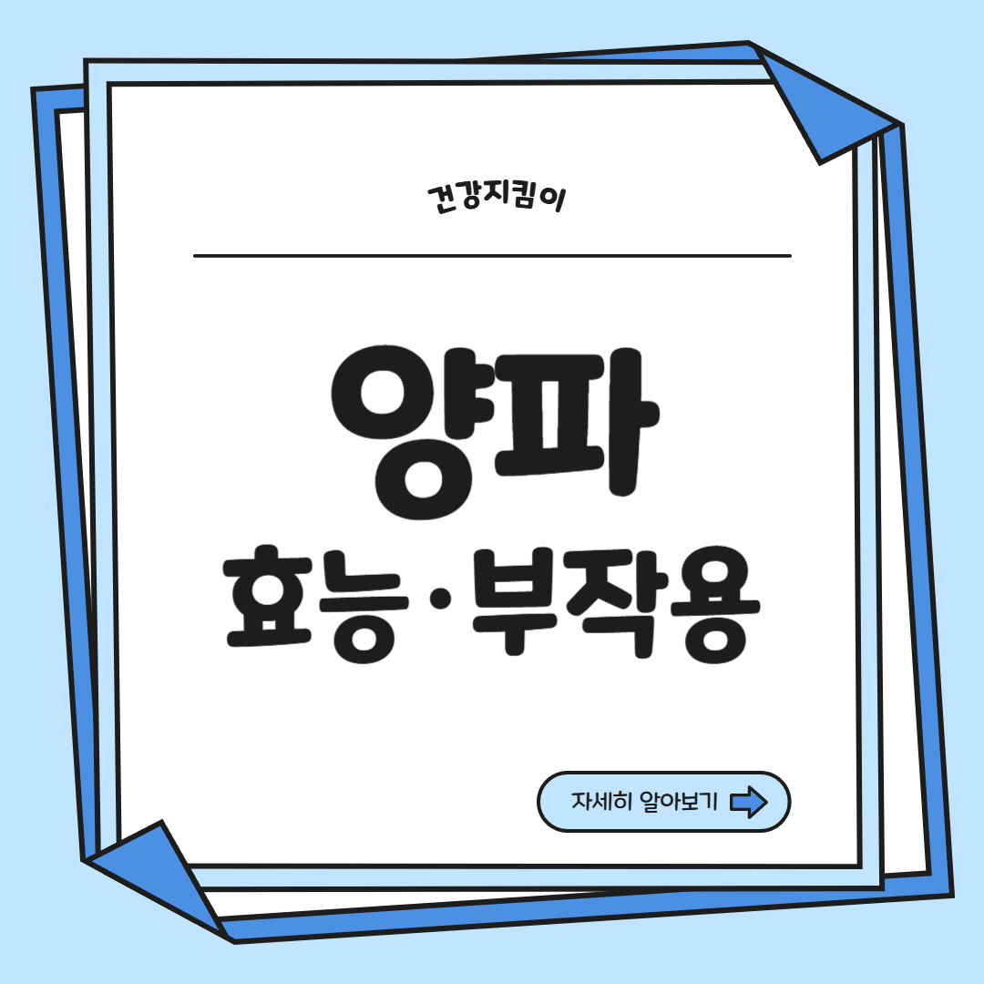 양파 효능과 부작용 칼로리