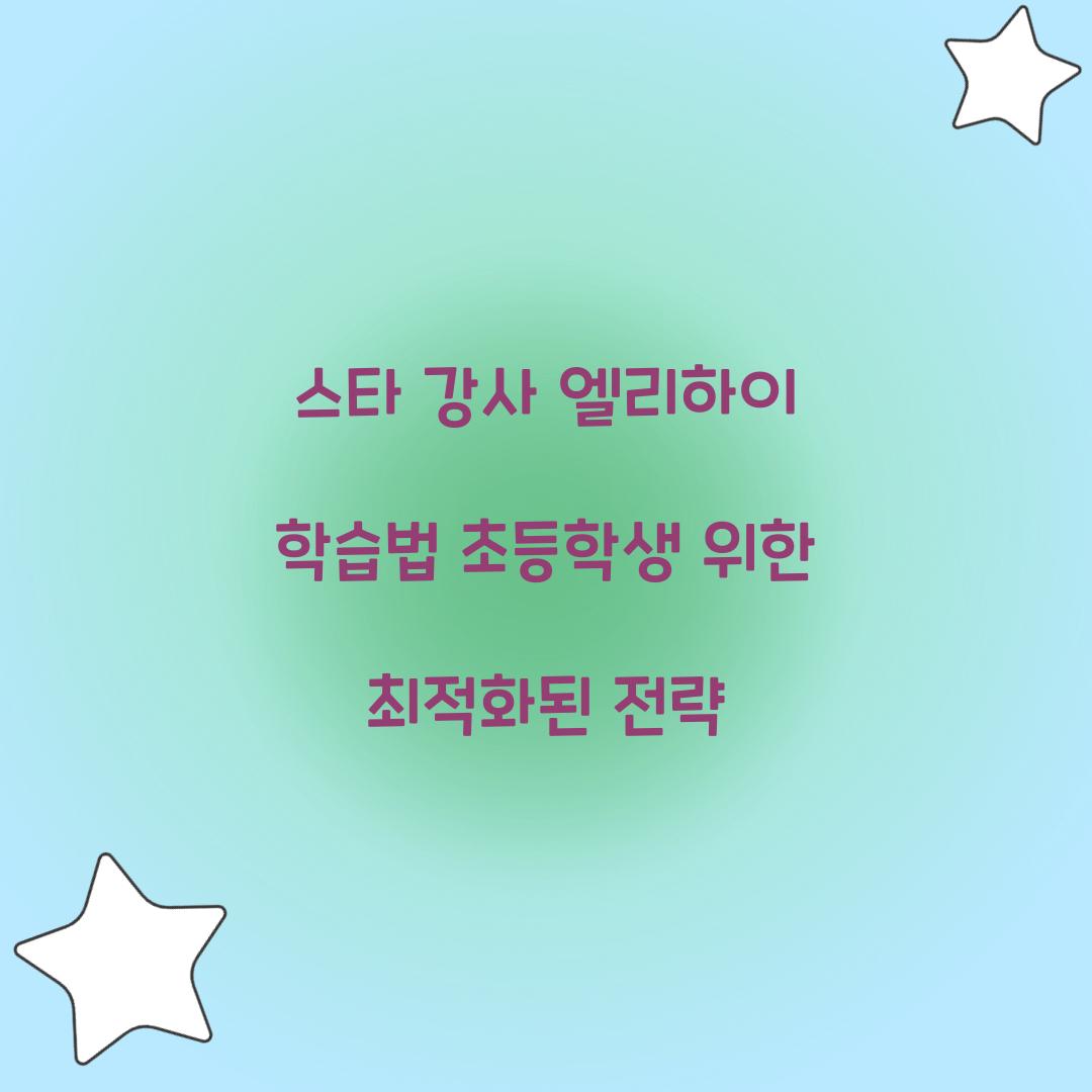 스타 강사 엘리하이 학습법
