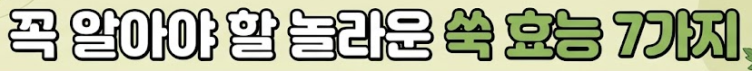 쑥 효능