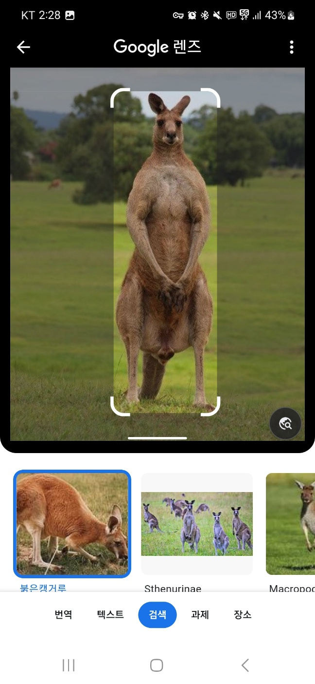 구글 이미지 검색 4