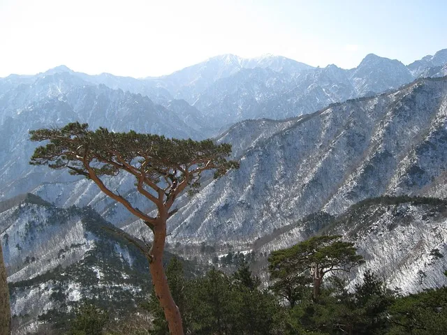 설악산 단풍 절정시기 2024년 예상일정과 교통편 정보_7