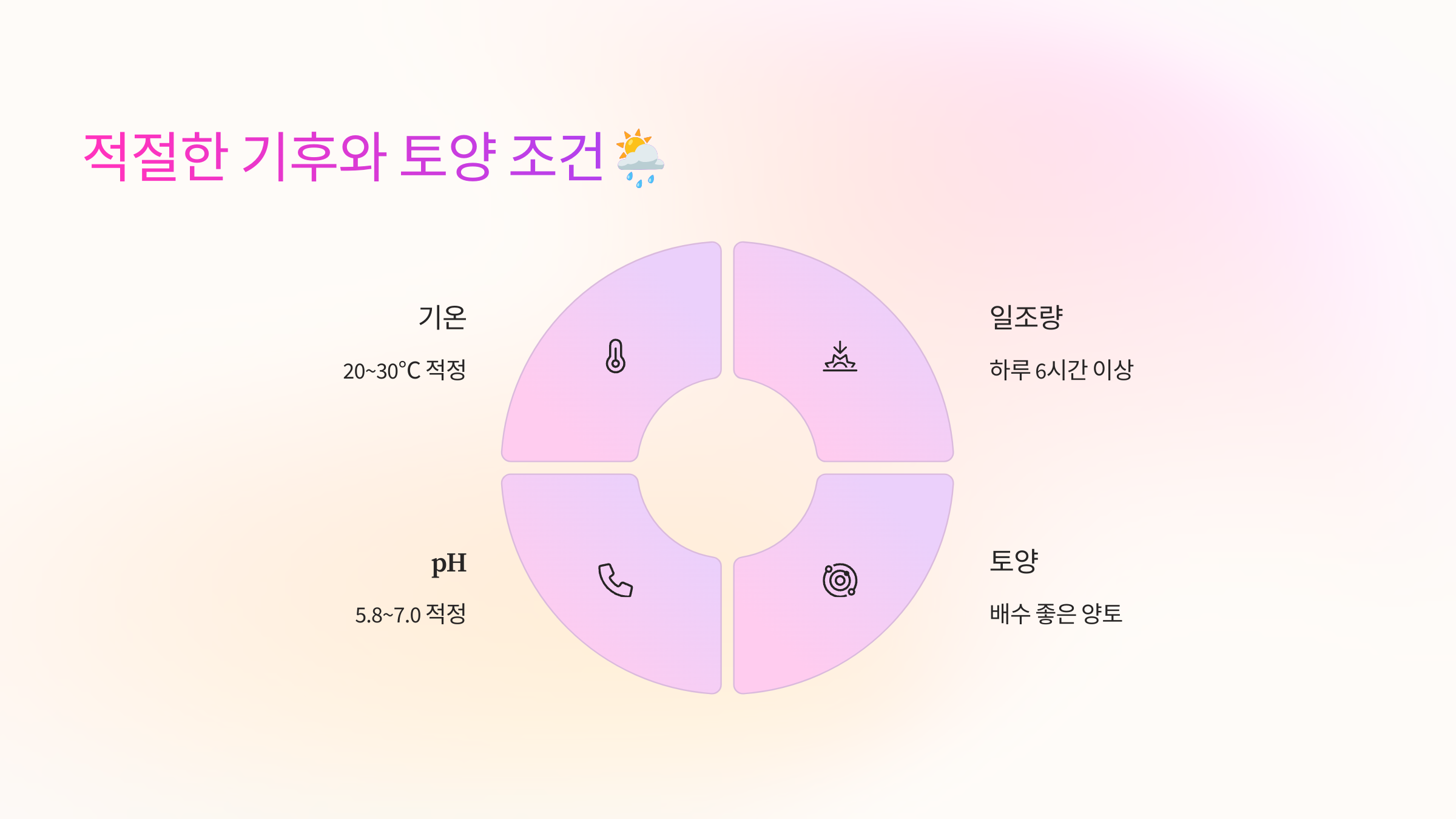 적절한 기후와 토양 조건🌦