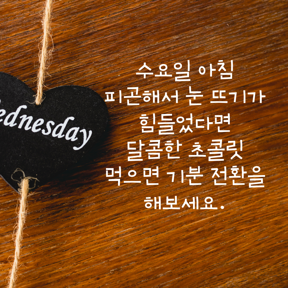 수요일 아침 인사말 이미지 모음 출근길