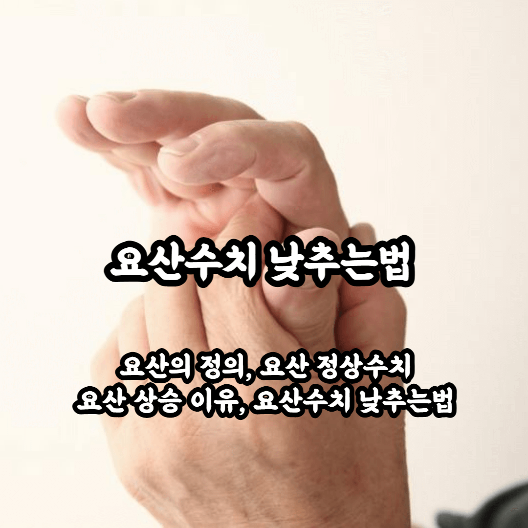 요산수치 낮추는법 요산 특징과 정상수치&#44; 높아지는 이유&#44; 요산수치 낮추는법 까지 한꺼번에 알아보자