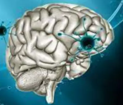 폐렴구균-예방접종-무료-대상-병원-찾기-순서-건강