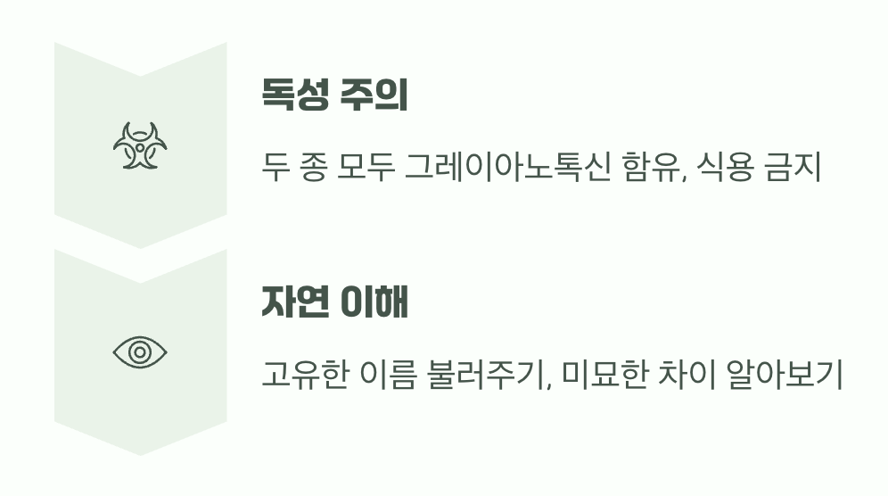 그래서, 왜 구분하는 것이 중요할까?