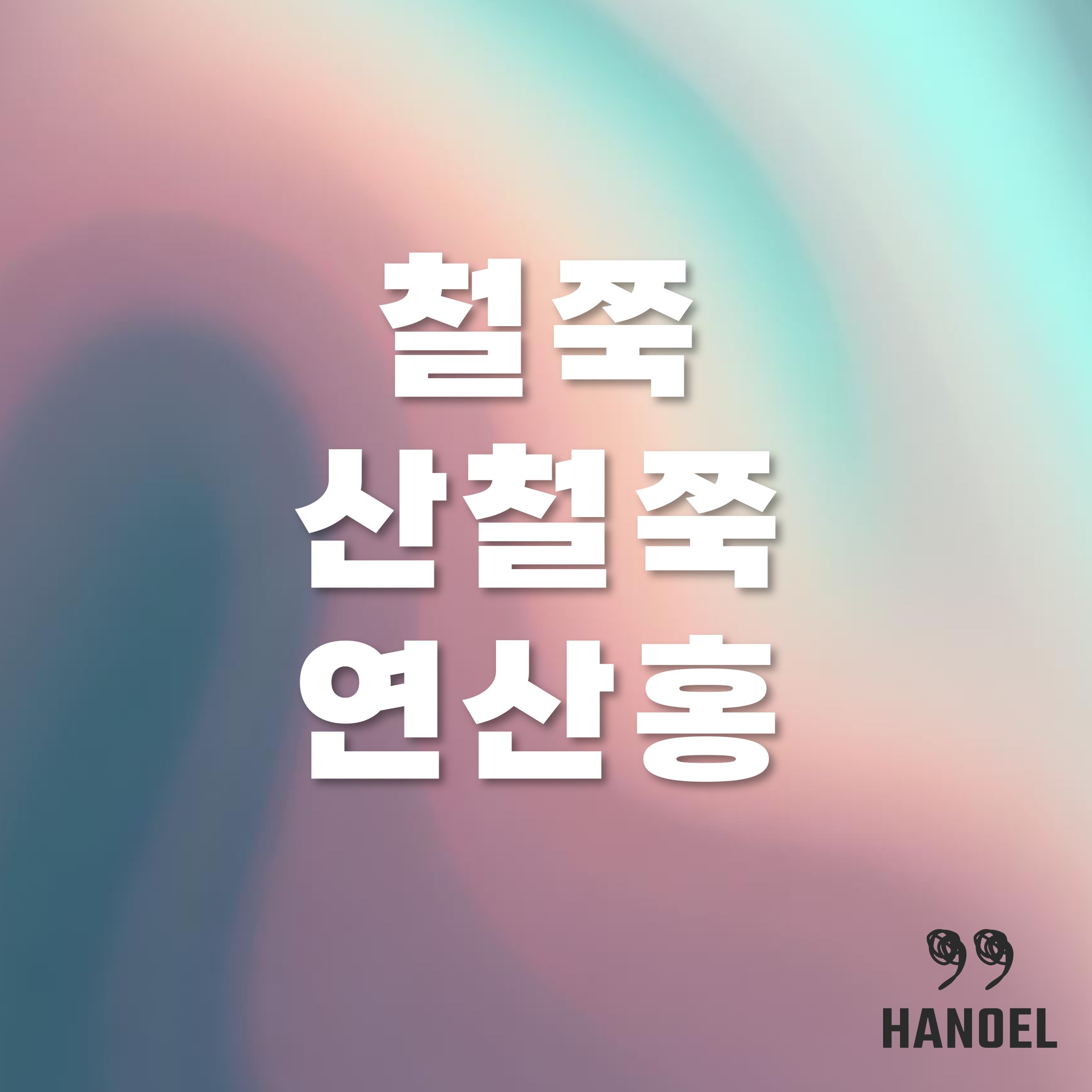 철쭉 산철쭉 연산홍 비교