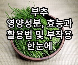 부추