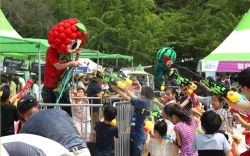 고창 복분자 수박축제