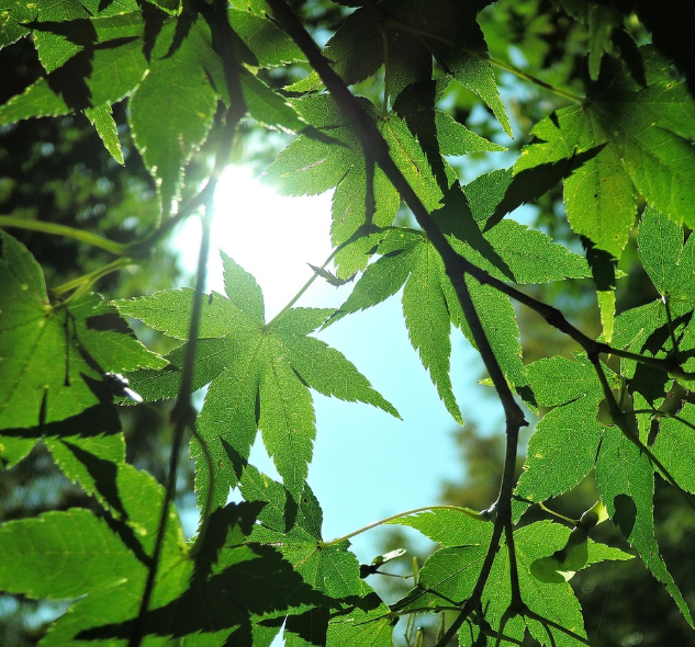 추월산의 자연경관 사진