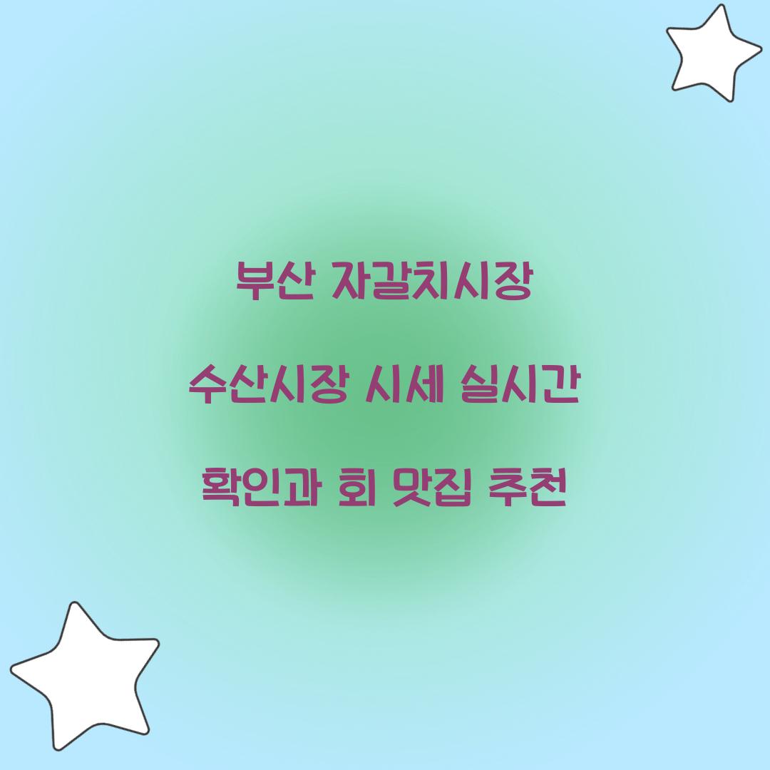 부산 자갈치시장 수산시장 시세 실시간 확인