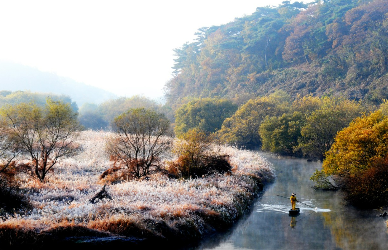 &amp;lt; 생방송투데이 보고 먹고 즐기다 3GO 여행 창녕&amp;#44; 청도편 &amp;gt;