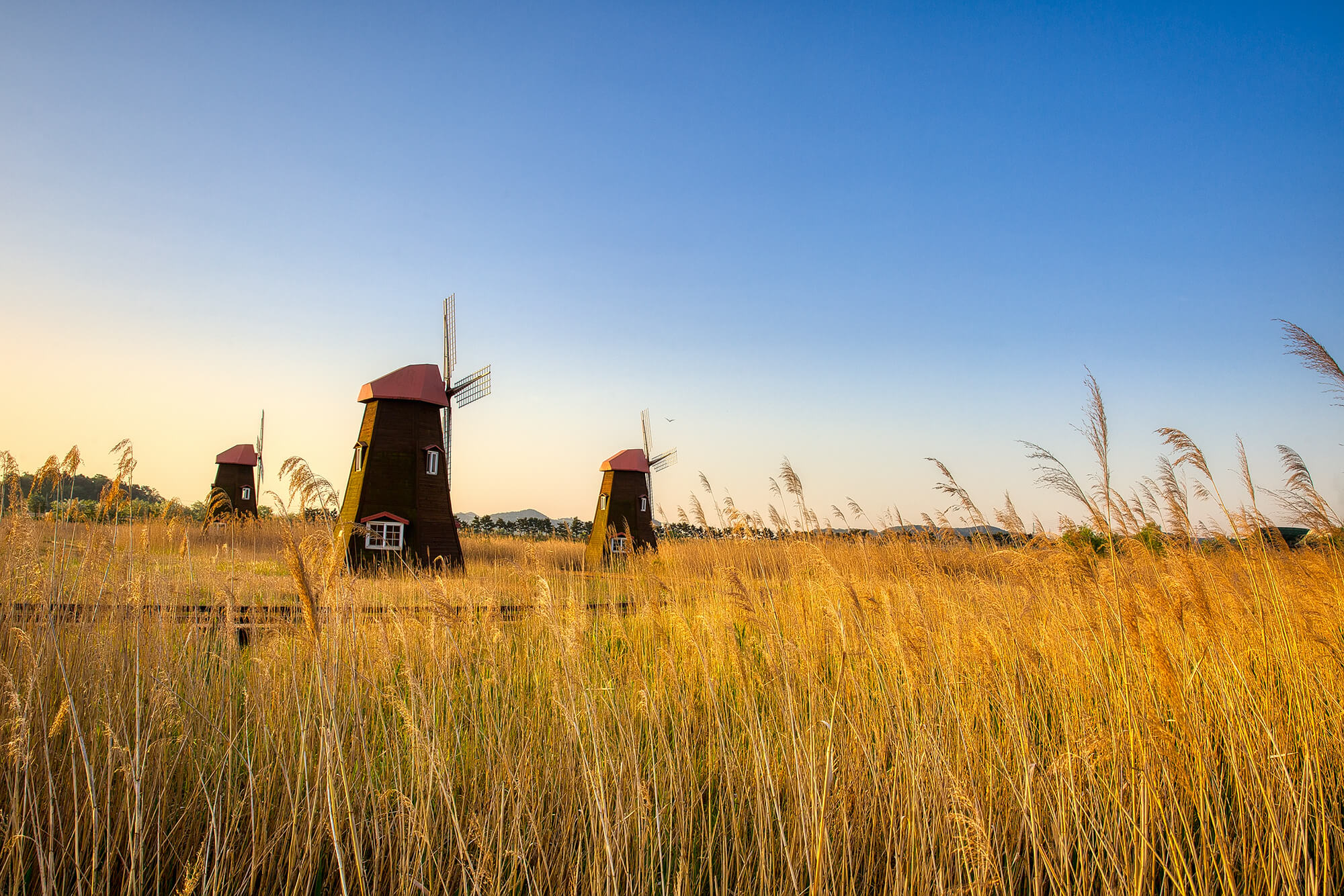 소래습지생태공원 풍경