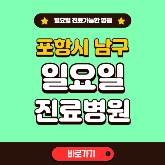 포항시 남구 일요일 진료 가능한 병원 ❘ 주말 문여는 곳 총정리 (소아과, 내과, 안과, 치과, 피부과, 정형외과, 산부인과)