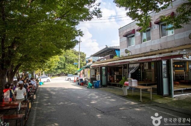 담양 가볼만한곳 베스트 10