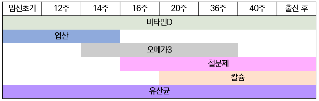임산부 시기별 필수영양제 종류