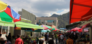 강원도 정선여행 5일장 필수코스